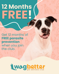 WagBetter Special